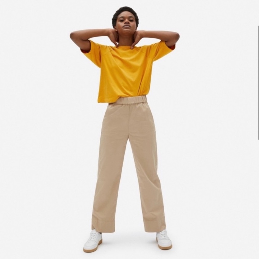 Everlane Tan Women's Pants